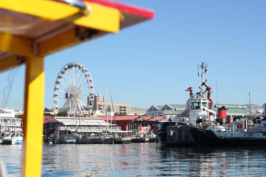 Cape Town: 30 Minute Seal-Watching Harbour Cruise - Table Mountain and Signal Hill Views Without the Long Tour