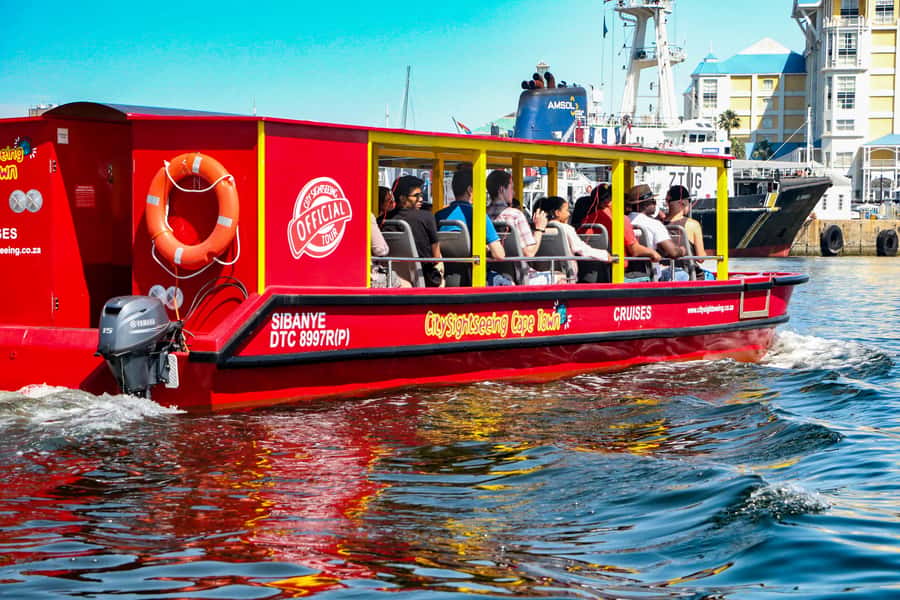 Cape Town: 30 Minute Seal-Watching Harbour Cruise - Free Wi‑Fi and Short-Trip Comfort: Practical Details That Matter
