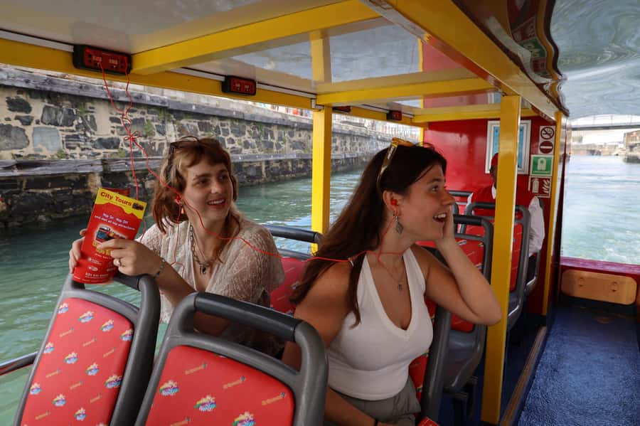 Cape Town: 30 Minute Seal-Watching Harbour Cruise - How the Cruise Works: Getting On, Headsets, and Timing