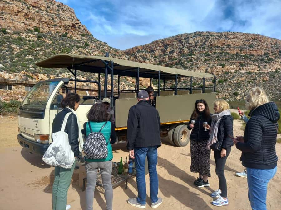 Cape Town: Aquila Game Reserve Sunset Game Drive - Price and value: what $168 buys, and what could limit your day