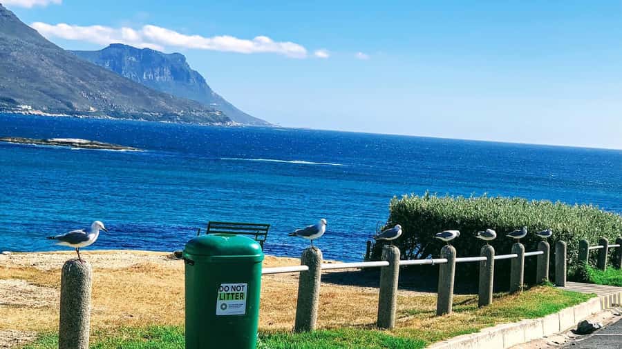 Cape Town: Cape of Good Hope & Penguins Full-Day Guided Tour - Why This Cape Peninsula Day Feels Like Several Trips