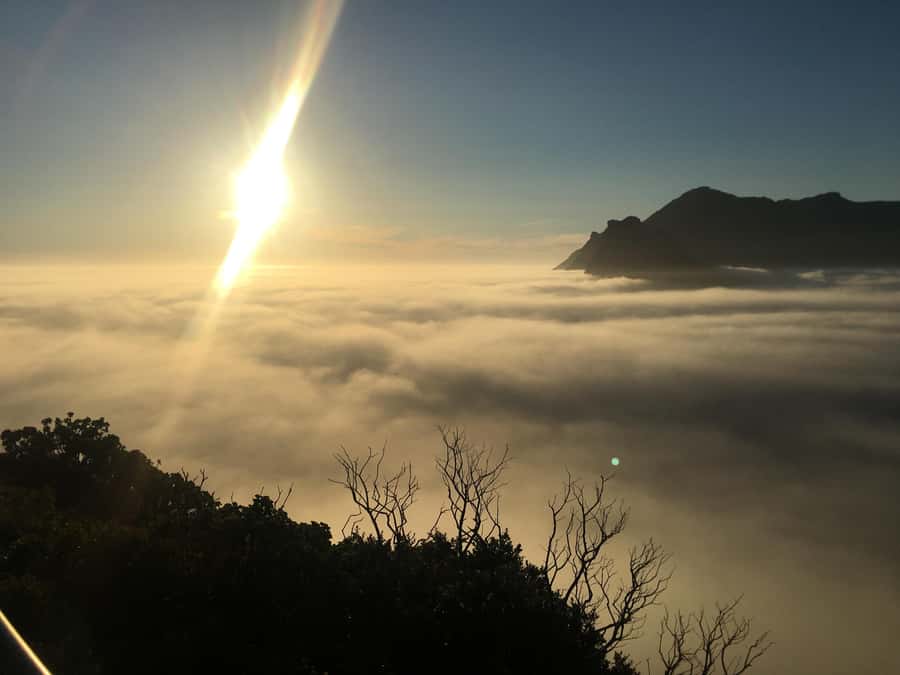 Cape Town: Cape of Good Hope & Penguins Full-Day Guided Tour - Hout Bay Harbor: Seal Island Option Without Forcing It