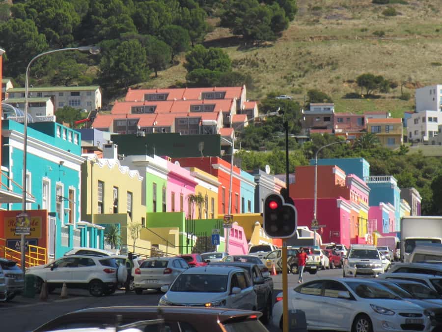 Cape Town: Cape of Good Hope & Penguins Full-Day Guided Tour - Chapmans Peak Drive Viewpoints (Toll Included)