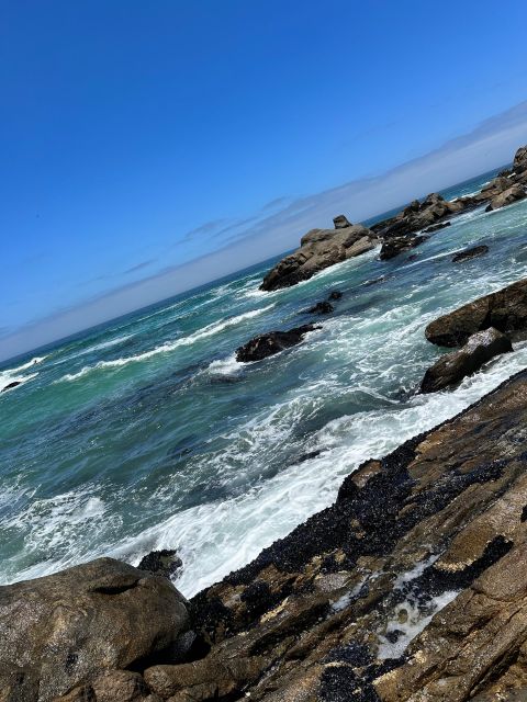Cape Town: Cape of Good Hope & Penguins Full-Day Guided Tour - Old Cape Point Lighthouse and the Flying Dutchman Ride