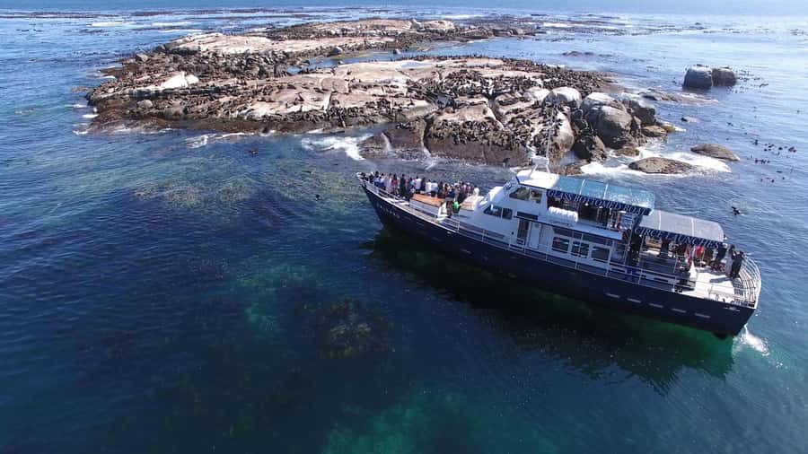 Cape Town: Cape of Good Hope, Seals and Penguins Day Tour - One day, five big “wow” moments (and why that matters)