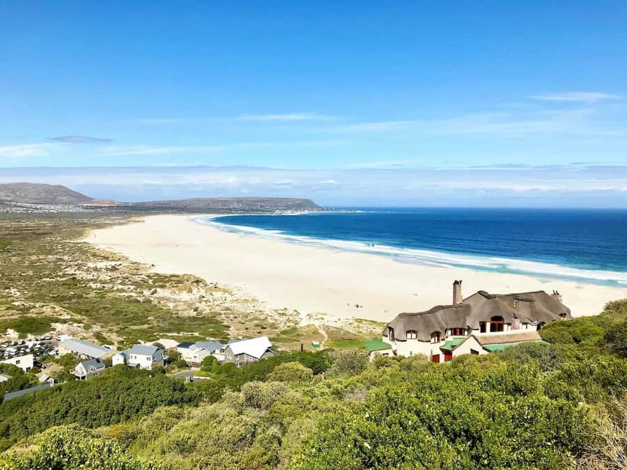 Cape Town: Cape Point and Penguin Colony Full Day Tour - Guides, comfort, and weather-proofing the plan