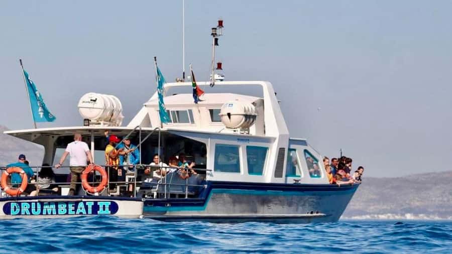 Cape Town City Pass: Save Over 50% on 80+ Top Attractions - Cruises and Water Fun: Canal Cruise, Harbour Cruise, and Sunset Options