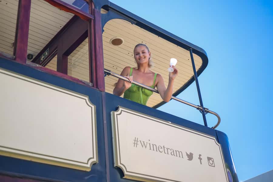 Cape Town: Full-Day Wine Tasting Tour with Wine Tram - Key points worth knowing before you go