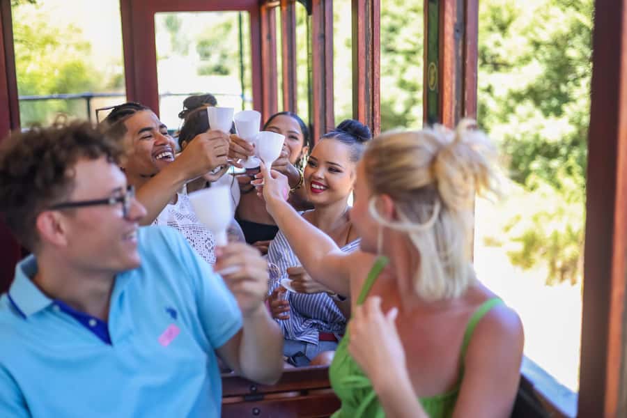 Cape Town: Full-Day Wine Tasting Tour with Wine Tram - Franschhoek lunch and shop time: plan for walking breaks