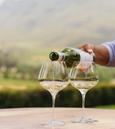 Cape Town: Full-Day Winelands Tour with Wine Tastings & Food - Pickup windows in Cape Town: how to show up ready (and not stressed)