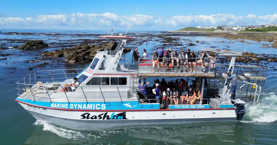 Cape Town: Gansbaai Eco-Friendly Shark Cage Diving Cruise - Cape Town to Gansbaai: the long drive that puts you in the right place