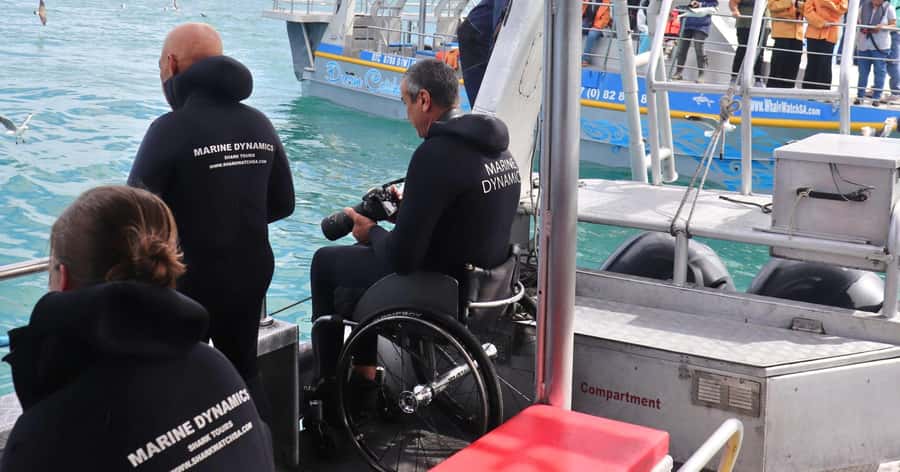 Cape Town: Gansbaai Eco-Friendly Shark Cage Diving Cruise - Price and value: what you’re paying for at $237 per person