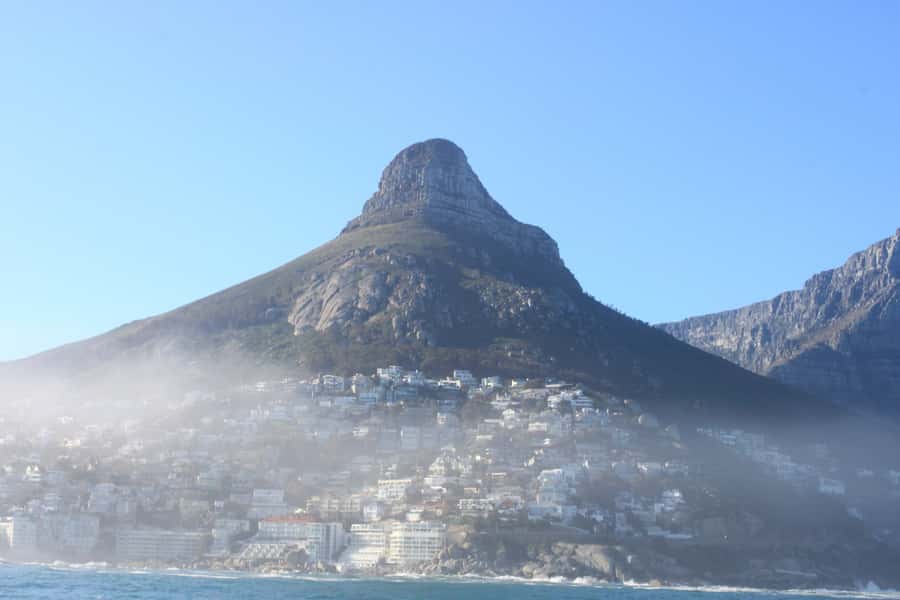 Cape Town: Marine Big 5 Ocean Safari from V&A Waterfront - Cape Town’s Atlantic Coast Route: Sea Point to Oudekraal