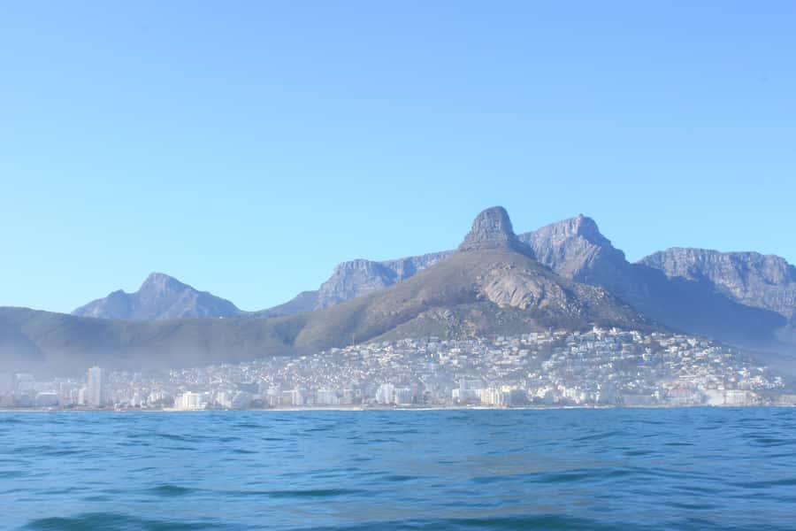 Cape Town: Marine Big 5 Ocean Safari from V&A Waterfront - Price and Value: Is $68 a Good Deal?
