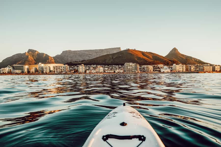Cape Town: Marine Life Kayak Tour From the V&A Waterfront - The route isn’t just about animals: the Cape Town view trail