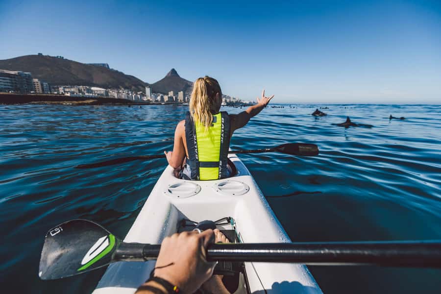 Cape Town: Marine Life Kayak Tour From the V&A Waterfront - What your guides do (and why that affects your fun)