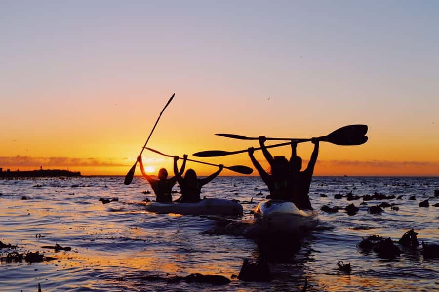 Cape Town: Marine Life Kayak Tour From the V&A Waterfront - Equipment, photos, and what’s actually included