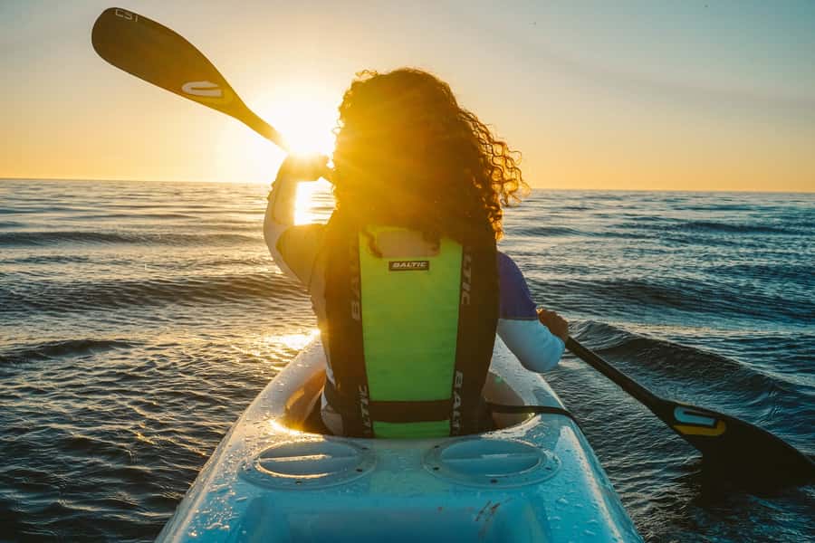 Cape Town: Marine Life Kayak Tour From the V&A Waterfront - Price and value: is $37 for 2 hours a fair deal?