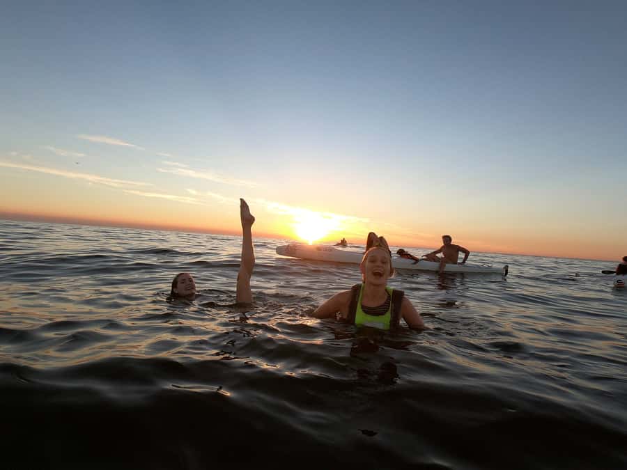 Cape Town: Marine Life Kayak Tour From the V&A Waterfront - Meeting point and what to do before you go