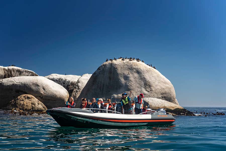 Cape Town: Marine Wildlife Tour from the V&A Waterfront - On board: what the hydrofoil experience feels like in practice