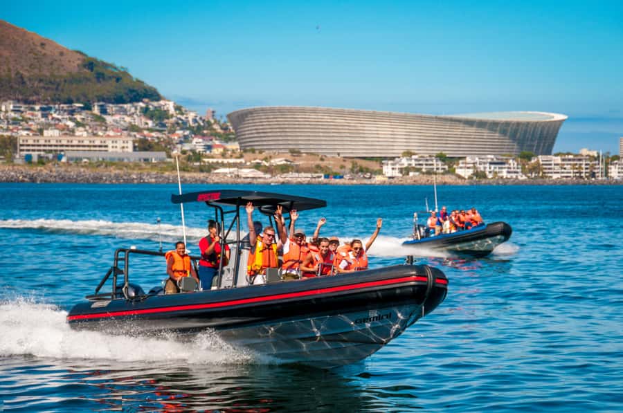 Cape Town Ocean Safari: Speed Boat Adventure in Table Bay - Key highlights you’ll feel on this Table Bay cruise