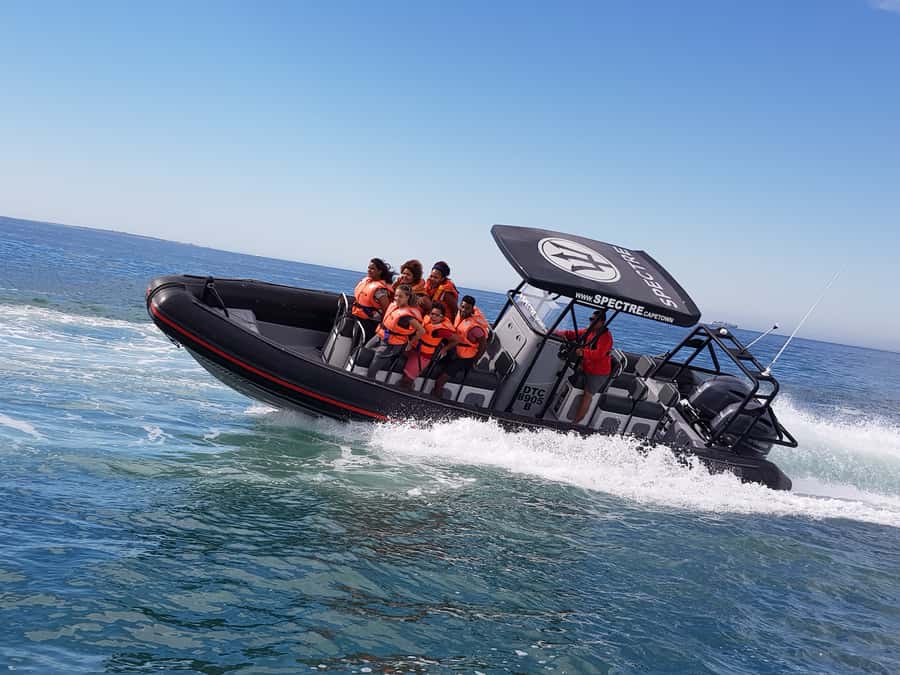 Cape Town Ocean Safari: Speed Boat Adventure in Table Bay - What you’ll actually do on the water (the 1-hour rhythm)