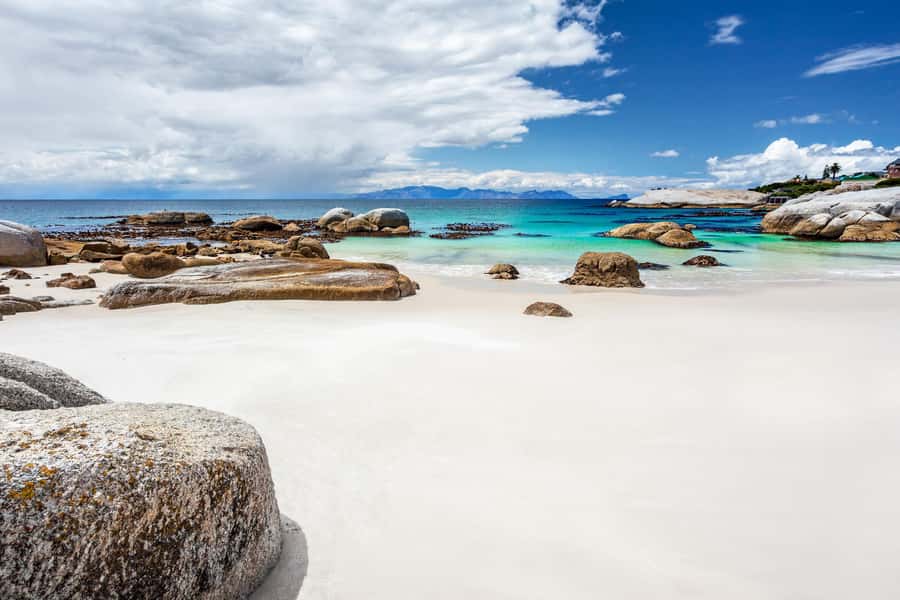 Cape Town: Penguin Watching at Boulders Beach Half Day Tour - Chapman’s Peak Drive: where the views do the talking