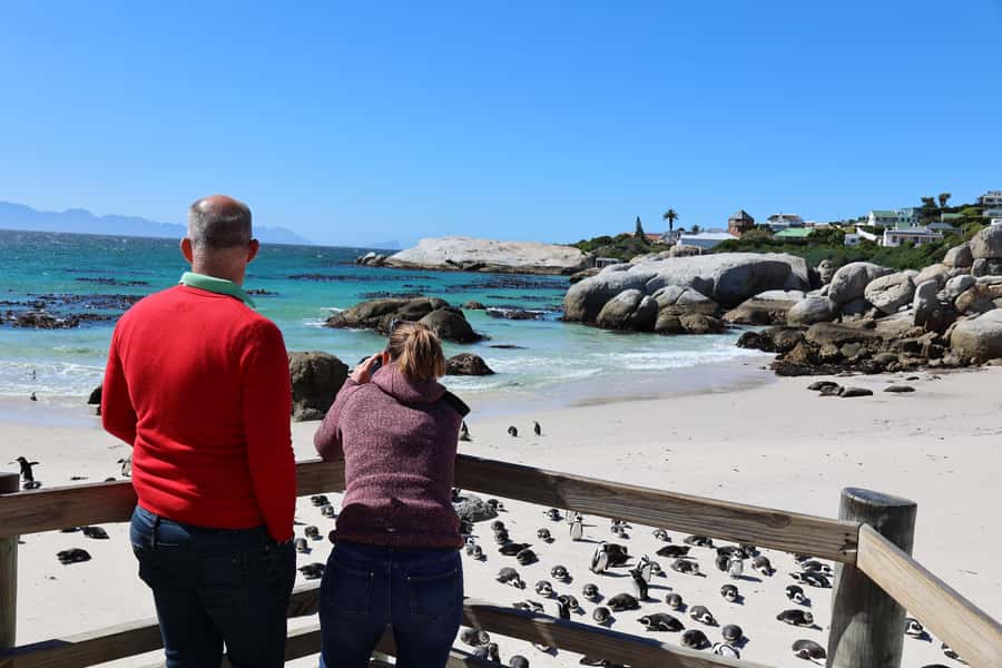 Cape Town: Penguin Watching at Boulders Beach Half Day Tour - Should you book the Cape Town Penguin Watching at Boulders Beach tour?