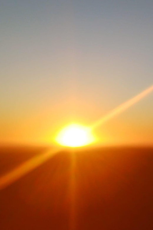 Cape Town: Penguins and Cape of Good Hope Sunset Tour - What I’d do to get the most out of your half day