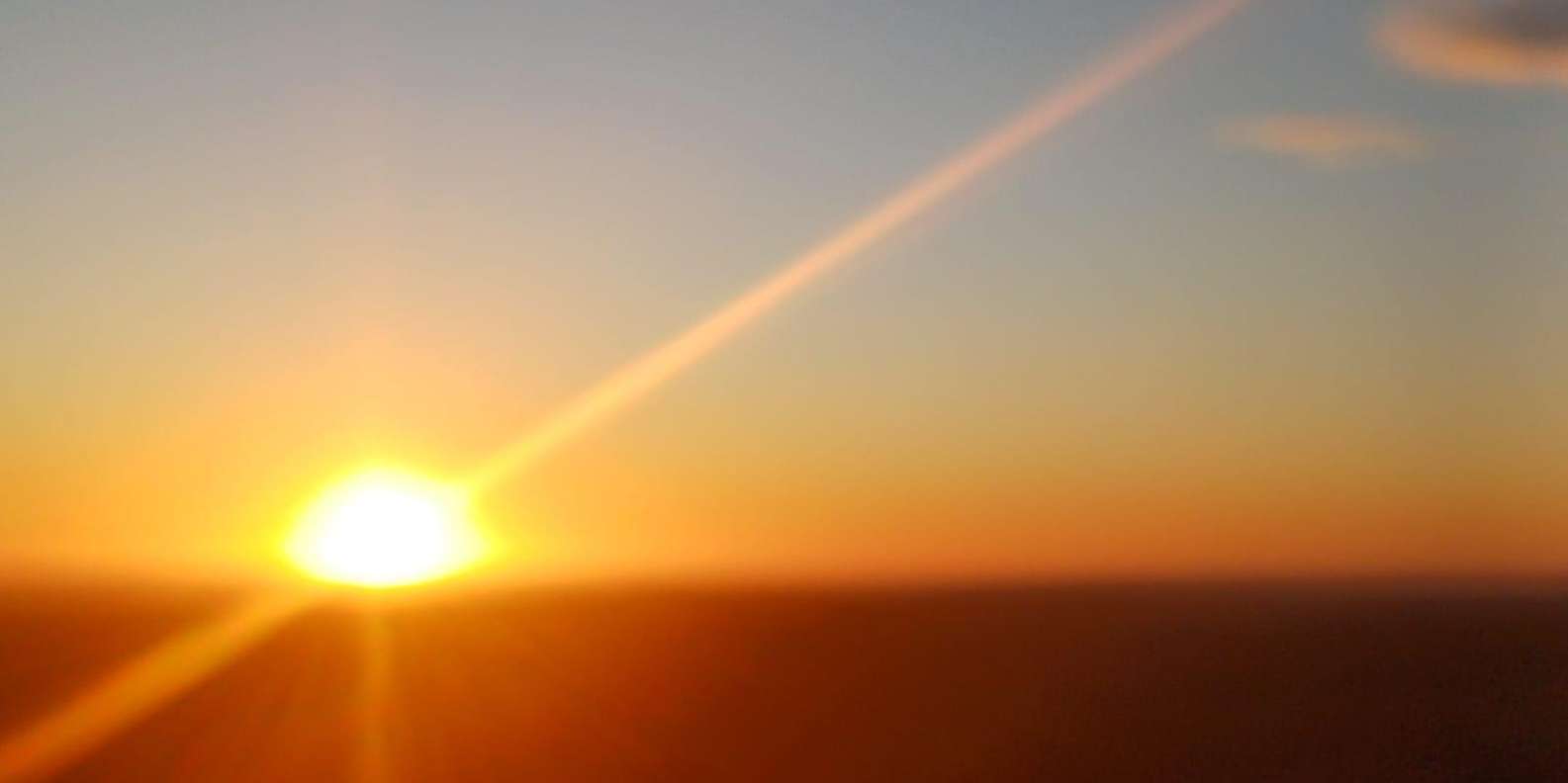Cape Town: Penguins and Cape of Good Hope Sunset Tour - Who should book this tour (and who might pass)