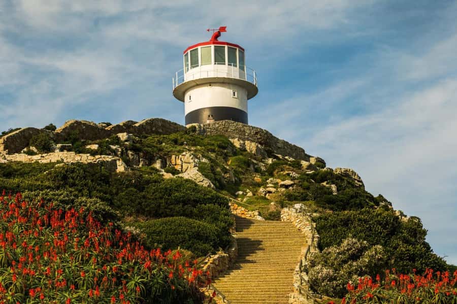 Cape Town: Penguins & Cape of Good Hope Day Tour with Pickup - Boulders Beach: your African penguin moment (and why entry matters)