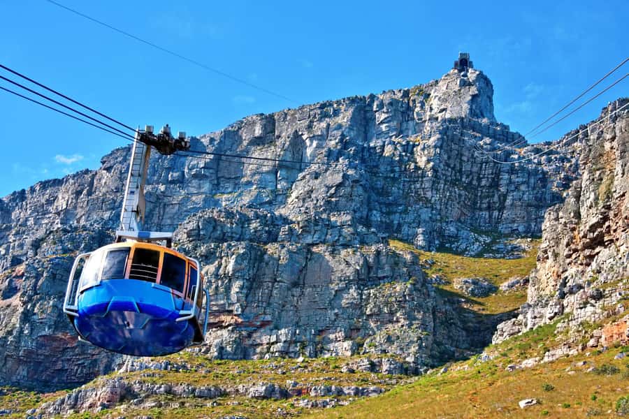 Cape Town: Penguins & Cape of Good Hope Half Day Shared Tour - Price and value: what the $39 covers and what costs extra