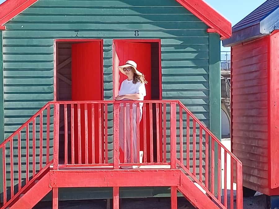 Cape Town: Penguins & Cape of Good Hope Half-Day Tour - What you’ll actually do at each stop (and where it can feel rushed)