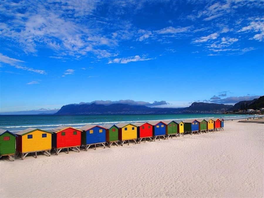 Cape Town: Penguins & Cape of Good Hope Half-Day Tour - Pickup, the False Bay drive, and those Muizenberg beach huts