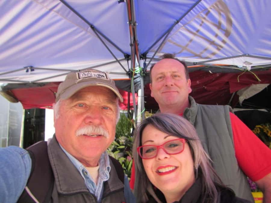 Cape Town: Private Walking Tour with a Local - Starting at the Cape Wheel: The Viewpoint That Sets the Tone