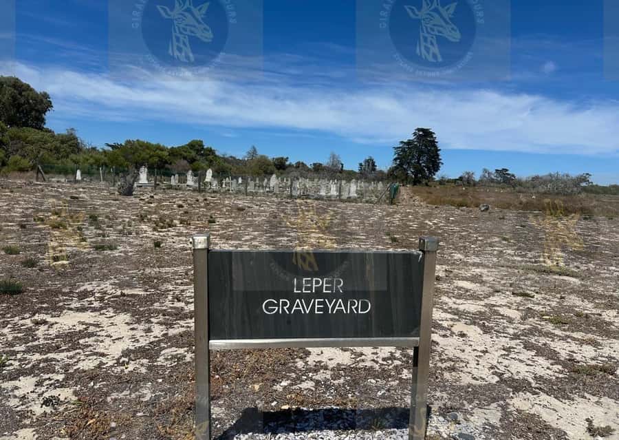 Cape Town: Robben Island Ferry with Prison Ticket and Tour - Key highlights you’ll feel from start to finish