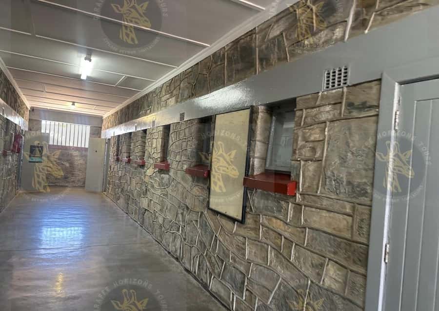 Cape Town: Robben Island Ferry with Prison Ticket and Tour - Priority ferry + museum access: saving time for what matters