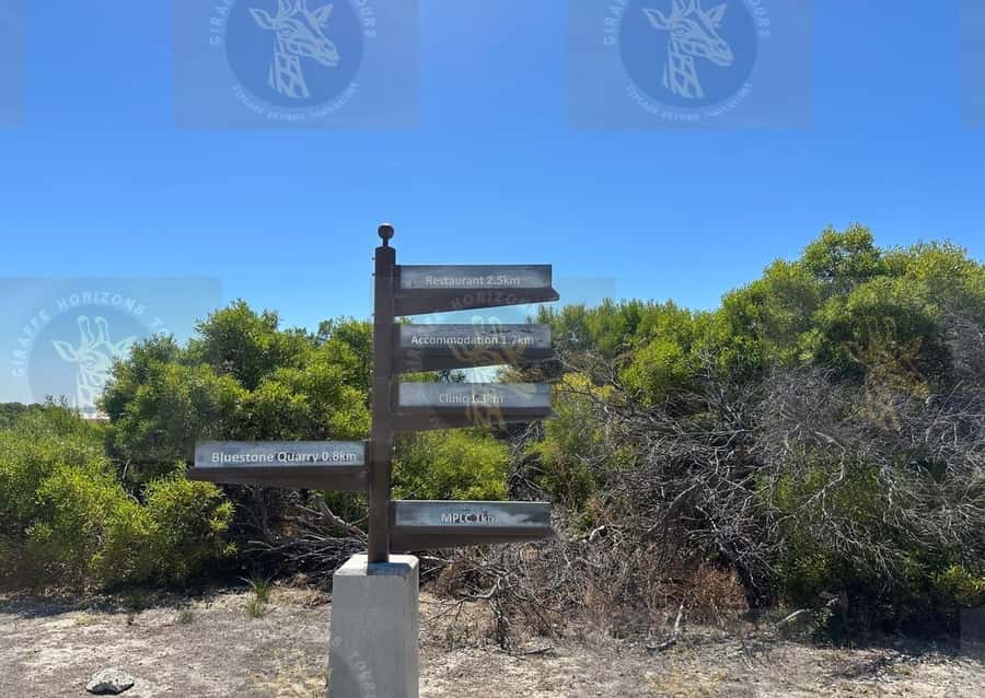 Cape Town: Robben Island Ferry with Prison Ticket and Tour - Robben Island bus stops: lime quarry and Robert Sobukwe’s house