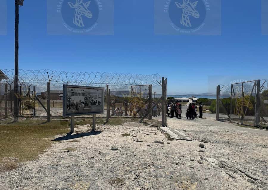 Cape Town: Robben Island Ferry with Prison Ticket and Tour - Practical tips before you show up at the Clock Tower