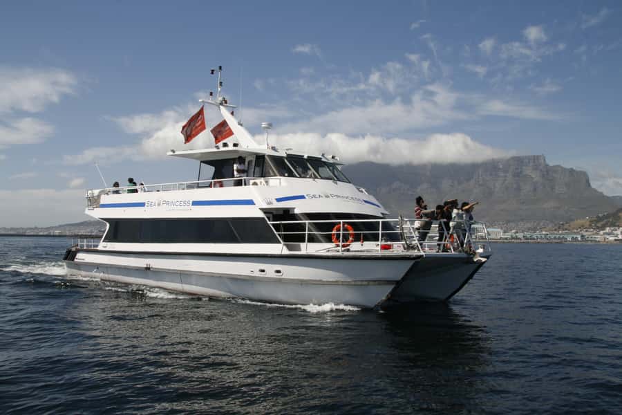 Cape Town: Scenic 1-Hour Coastal Catamaran Cruise - Why this 1-hour catamaran beats most half-day plans