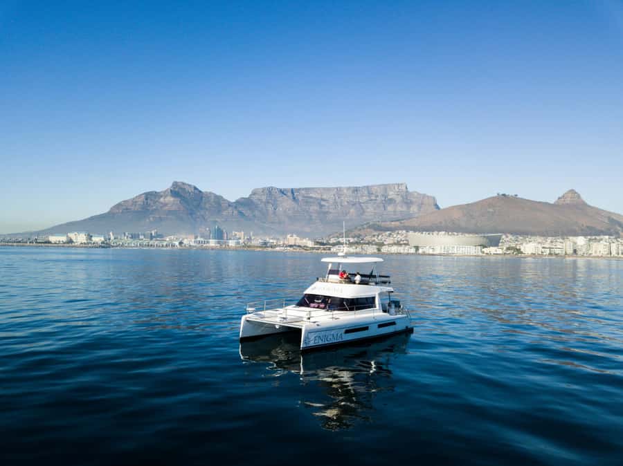 Cape Town: Scenic 1-Hour Coastal Catamaran Cruise - Marine life spotting: what to watch for on a short sail