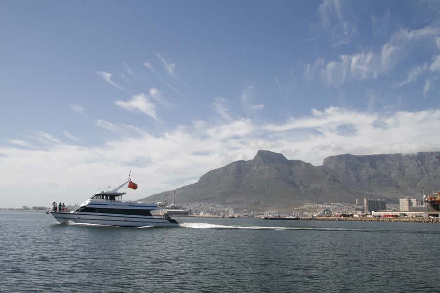 Cape Town: Scenic 1-Hour Coastal Catamaran Cruise - Where you sit matters more than you think