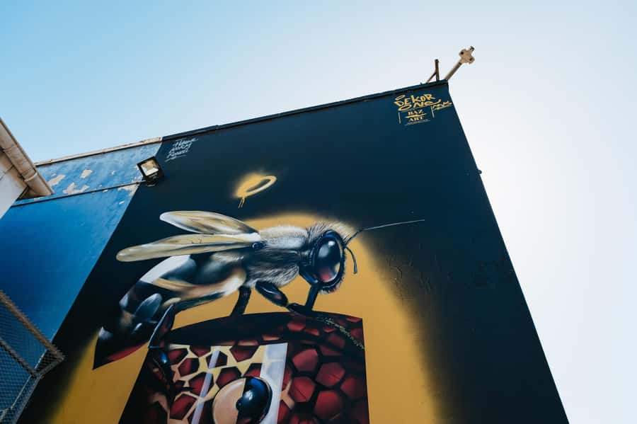 Cape Town: Street Art Walking Tour in Woodstock - Old Biscuit Mill: the practical side of seeing art nearby