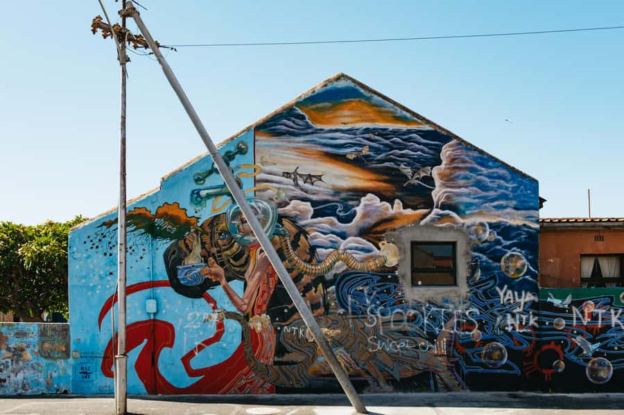 Cape Town: Street Art Walking Tour in Woodstock - Salt River Nature Park: a breather with scenic views and a sense of place