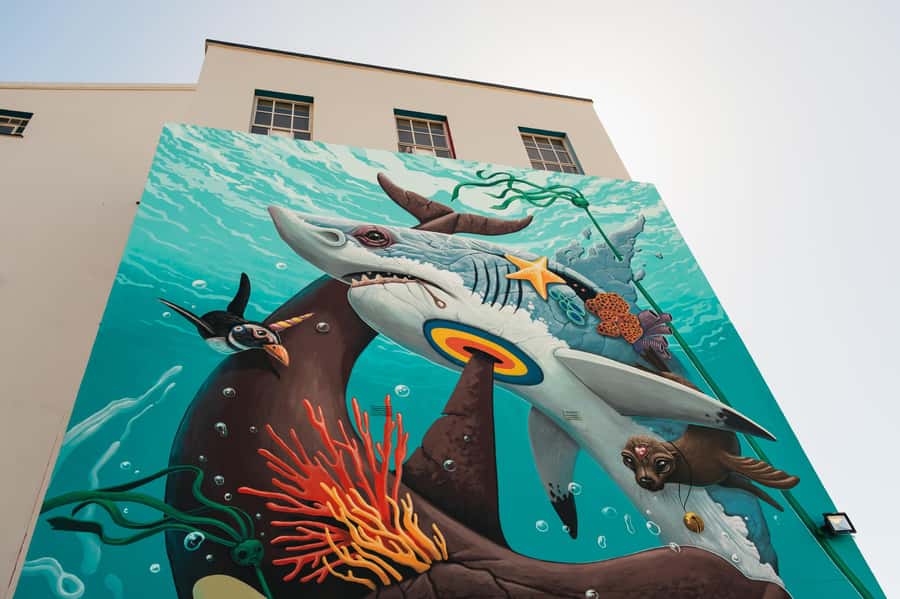 Cape Town: Street Art Walking Tour in Woodstock - Finding your group at Shop 5 inside Salt Circle Arcade