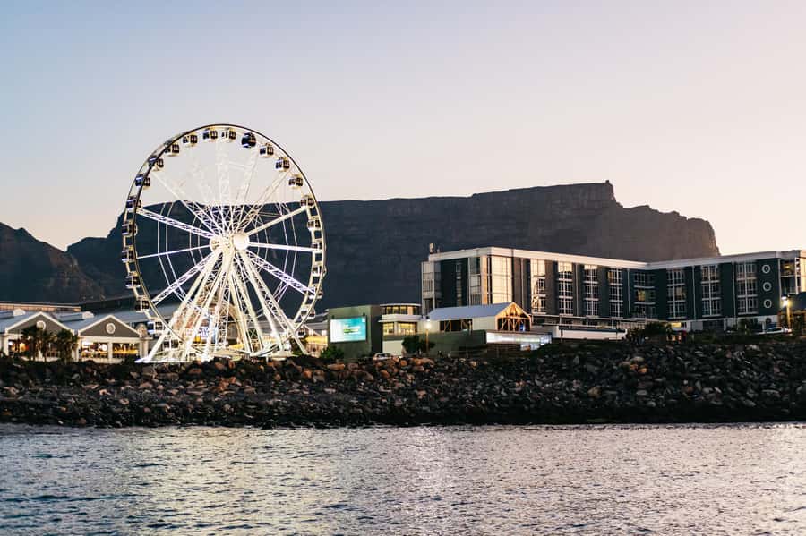 Cape Town: Sunset Catamaran Cruise on Table Bay with Bubbles - Wildlife Watching on Table Bay: What You Can Actually Hope For
