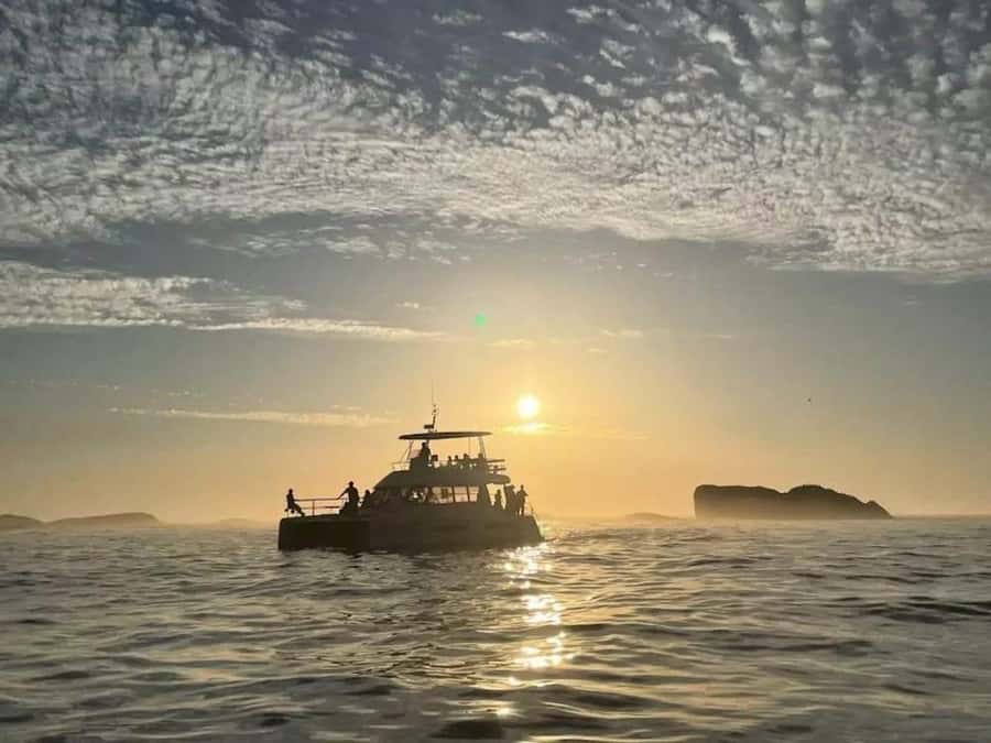 Cape Town: Sunset Champagne Cruise - What you’re really paying for: drinks plus a prime sunset window