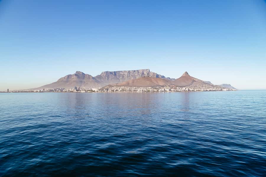 Cape Town: Sunset Champagne Cruise - The onboard party vibe: music, photos, and crew energy