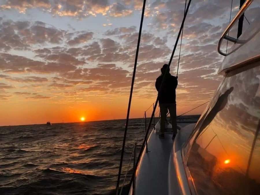 Cape Town: Sunset Champagne Cruise - Wildlife sightings: whales and dolphins when conditions line up