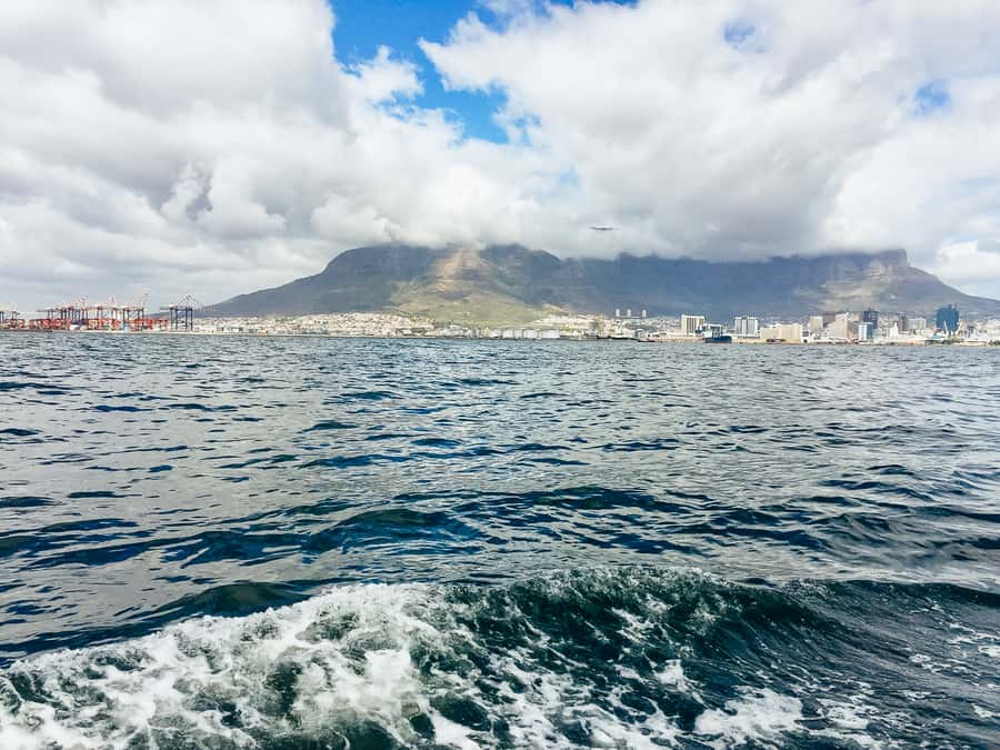 Cape Town: Sunset Champagne Cruise - What to bring: jackets win, sunglasses help, and shoes matter
